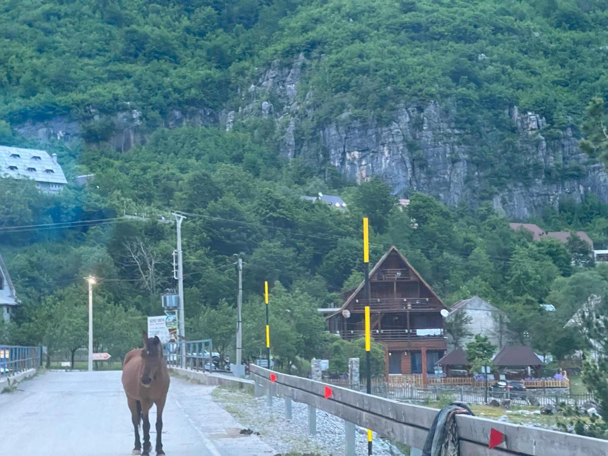 Guesthouse Villa Gurra 세스 외부 사진